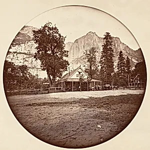 [Yosemite National Park, California] by Carleton E. Watkins