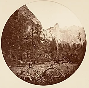 [Yosemite National Park, California] by Carleton E. Watkins