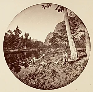 [Yosemite National Park, California] by Carleton E. Watkins
