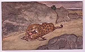 A Jaguar Devouring a Deer