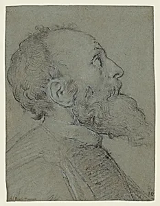 Head of a Bearded Man