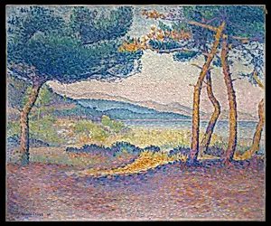 Pines Along the Shore