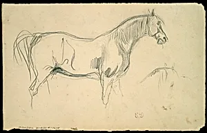 Studies of a Horse in Profile by Eugène Delacroix