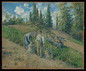The Harvest, Pontoise (La Récolte, Pontoise)