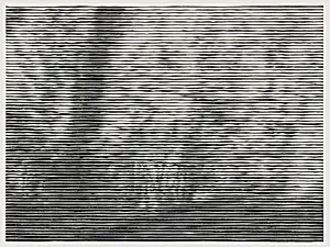 1 Sekunde/17