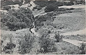 100 Boots Taking the Hill (1). Lomas Santa Fe, California. June 13, 1972, 2:00 p.m.