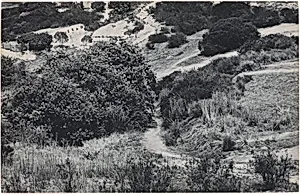 100 Boots Taking the Hill (3). Lomas Santa Fe, California. June 13, 1972, 2:45 p.m.