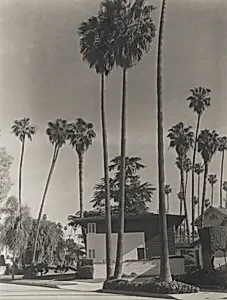 12th Street/Arlington, Country Park
