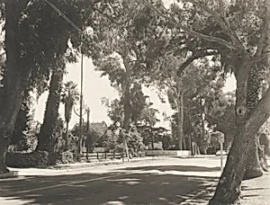 7th Street, Santa Monica
