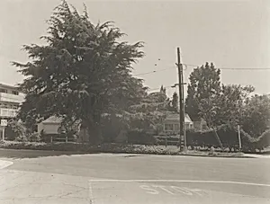 7th Street/Near San Vicente, Santa Monica