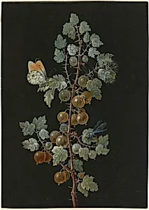 A Branch of Gooseberries with a Dragonfly, an Orange-Tip Butterfly, and a Caterpillar