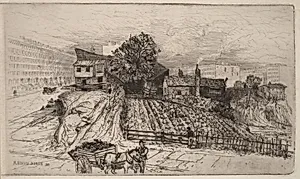 A City Farm—New York