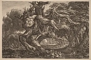 A Dead Oak Tree