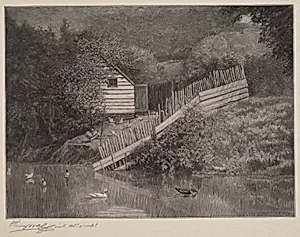 A Duck Pond