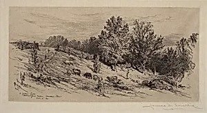 A Fallow Field