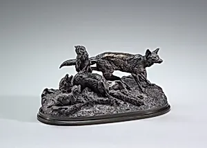 A Family of Foxes