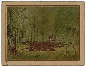 A Fight with Peccaries - Caribbe by George Catlin