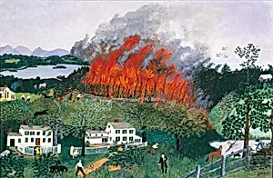 A Fire in the Woods
