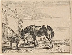 A Horse Bound to a Feeding Trough