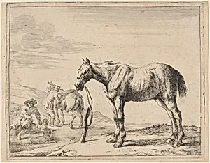 A Horse Bound to a Post
