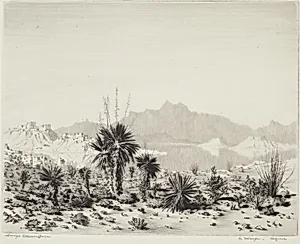 A Mirage, Arizona