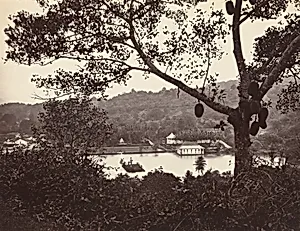 A Peep from Upper Lake Road showing Temple and Island with Park -- fruit tree in foreground