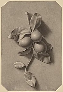 A Sprig of Plums