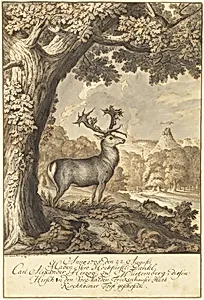 A Stag beneath a Mighty Oak