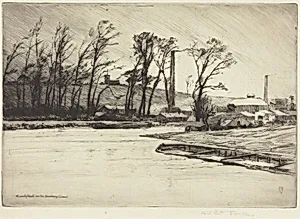 A Wintry Blast on the Stourbridge Canal