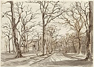 A Woodland Path in Rosenthal in Winter