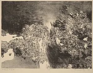 Adriana's Garden