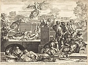 Aegros Curare