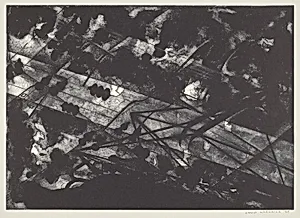 Aerial Landscape