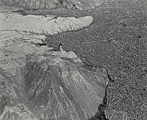 Aerial View: Logs and Debris in South End of Spirit Lake--4.5 Miles North of Mount Saint Helens, Washington
