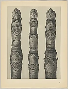 Aesculus parviflora