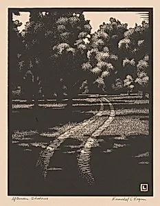 Afternoon Shadows