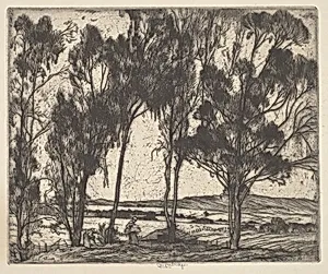 Al Bordo del Campo