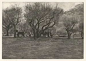 Almonds of Andaluzia