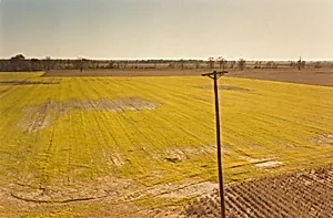 Almost at the Mississippi River, Dyersburg, Tennessee