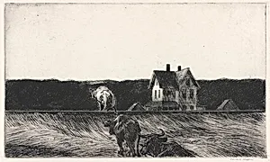 American Landscape