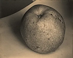 An Apple, A Boulder, A Mountain