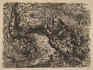 An Old Willow by a Stream