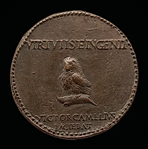 An Owl [reverse]