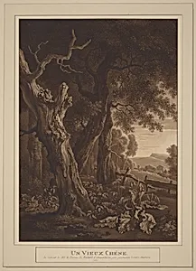Ancient Oaks in a Landscape