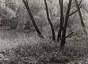 Angler im Möhnedschungel, Westfalen (Angler in Möhne jungle, Westphalia)