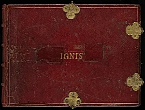 Animalia Rationalia et Insecta (Ignis)