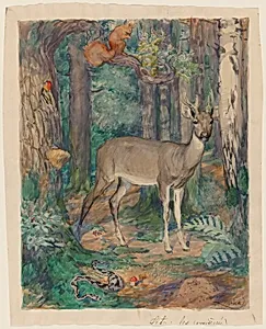 Animals in the Forest
