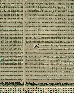 API 02906563 Edison, CA