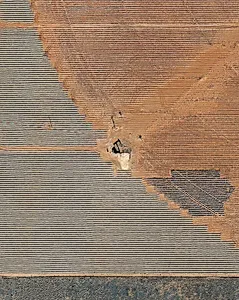 API 21901820 Slaughter, TX