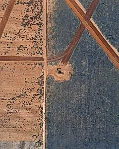 API 21936223 Levelland, TX